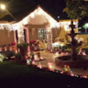 Meet your Posher, Hector